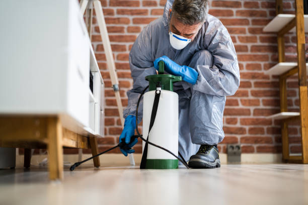 Reliable Columbus, WI Pest Control Solutions